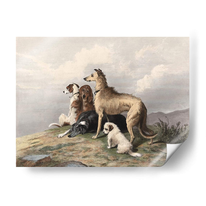 Perros De Montaña - I. Bonheur | Cuadro decorativo de Canvas Lab