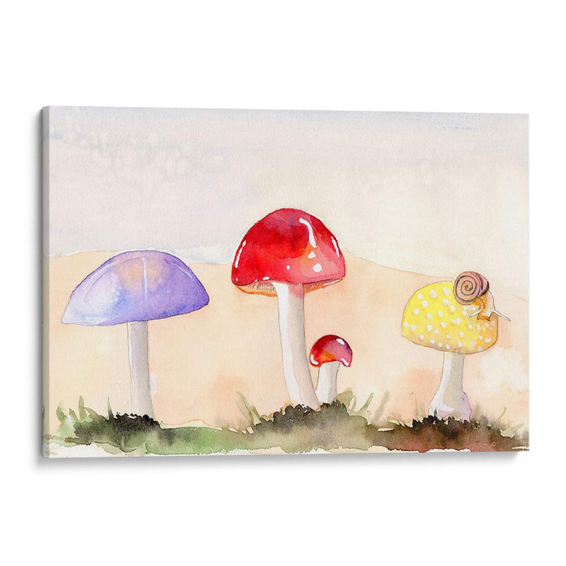Faerie Mushrooms Ii - Alicia Ludwig | Cuadro decorativo de Canvas Lab
