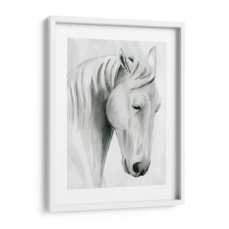 Horse Whisper Ii - Grace Popp | Cuadro decorativo de Canvas Lab
