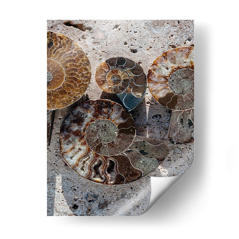Regalos De La Orilla Xi - Elena Ray | Cuadro decorativo de Canvas Lab
