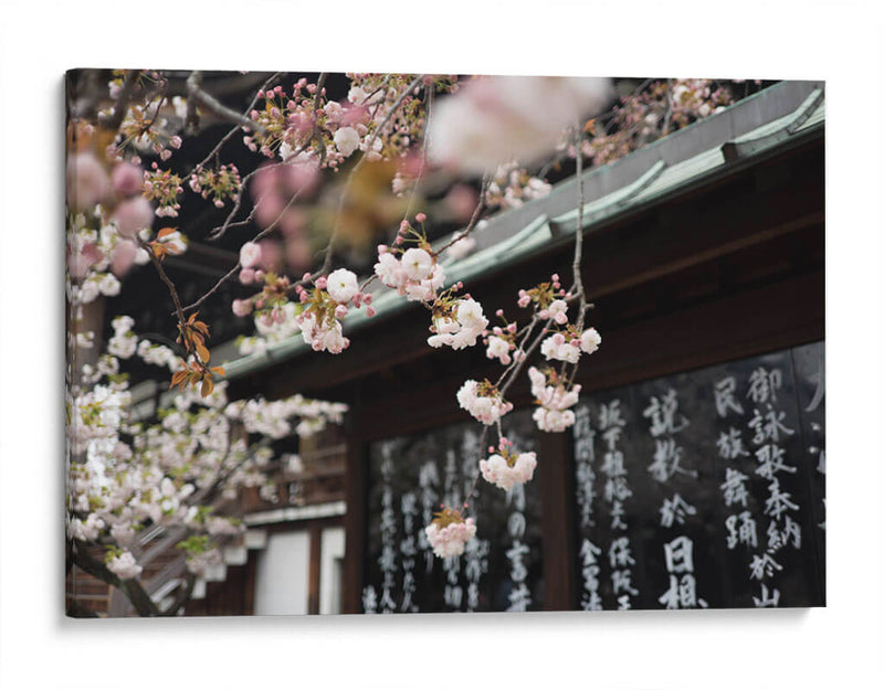 La dulce Sakura | Cuadro decorativo de Canvas Lab