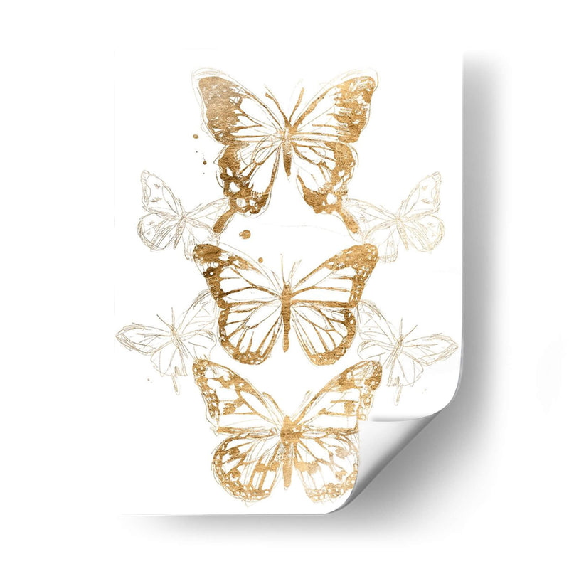 Contornos De Mariposa De Oro I - June Erica Vess | Cuadro decorativo de Canvas Lab