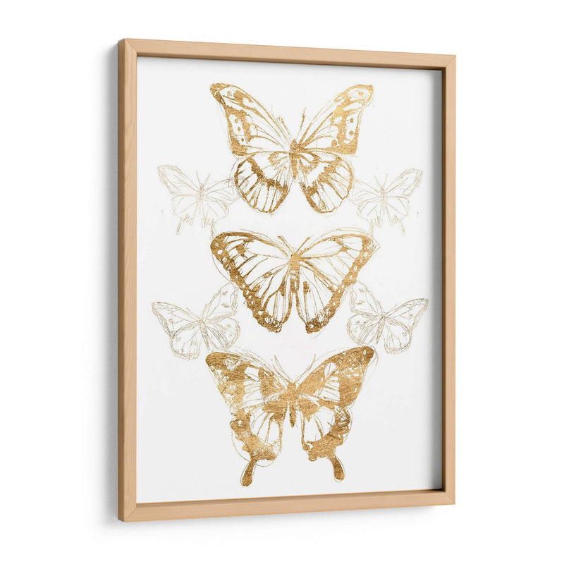 Contornos De Mariposa De Oro Ii - June Erica Vess | Cuadro decorativo de Canvas Lab