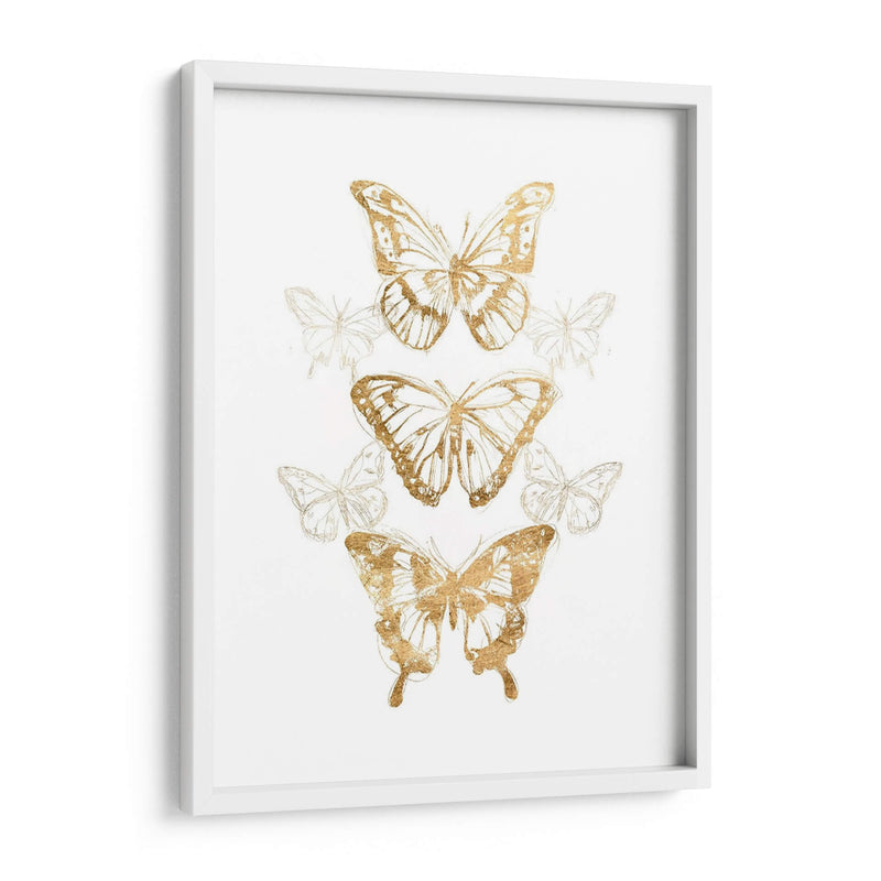 Contornos De Mariposa De Oro Ii - June Erica Vess | Cuadro decorativo de Canvas Lab