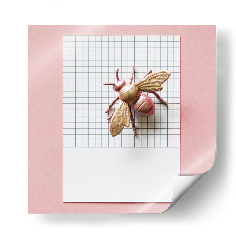 La mosca rosa | Cuadro decorativo de Canvas Lab
