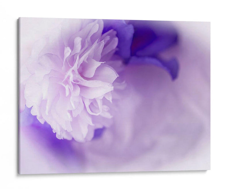 Florales De Ensueño En Violeta I - Paul McCreery | Cuadro decorativo de Canvas Lab