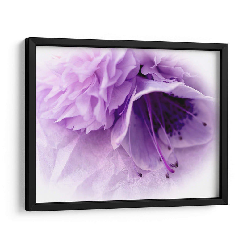 Florales De Ensueño En Violeta Iii - Paul McCreery | Cuadro decorativo de Canvas Lab