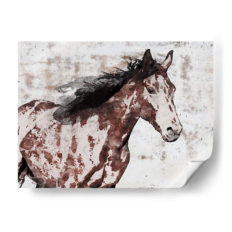 Ganador Horse Iii - Irena Orlov | Cuadro decorativo de Canvas Lab