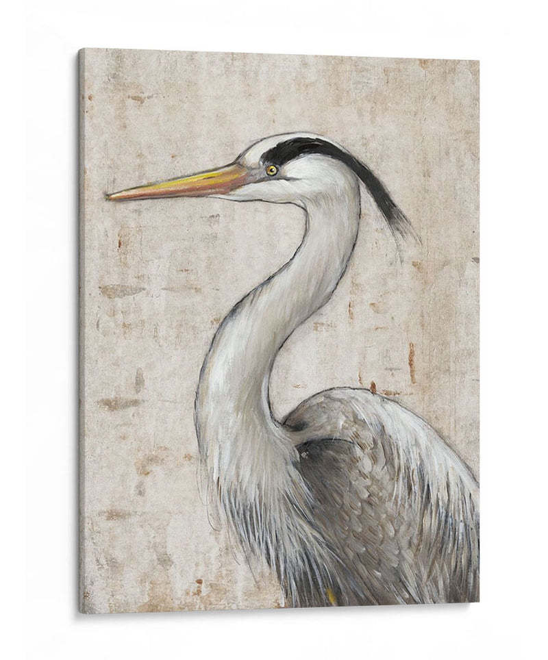 Grey Heron Ii - Tim OToole | Cuadro decorativo de Canvas Lab