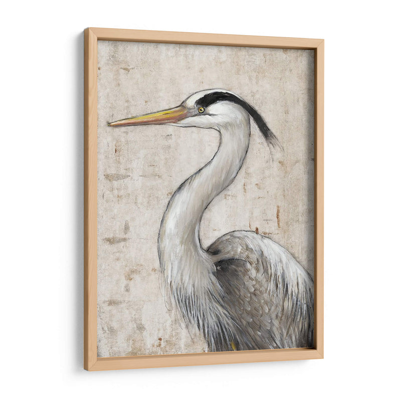 Grey Heron Ii - Tim OToole | Cuadro decorativo de Canvas Lab