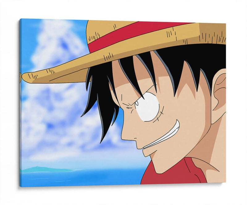 One Piece focus | Cuadro decorativo de Canvas Lab