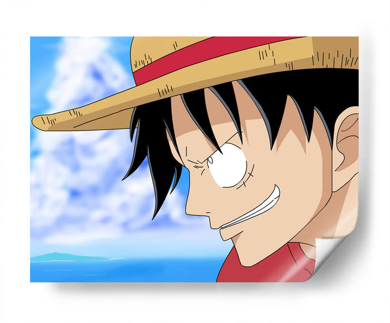 One Piece focus | Cuadro decorativo de Canvas Lab