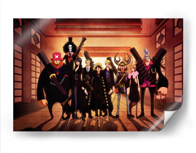 One Piece shadow | Cuadro decorativo de Canvas Lab