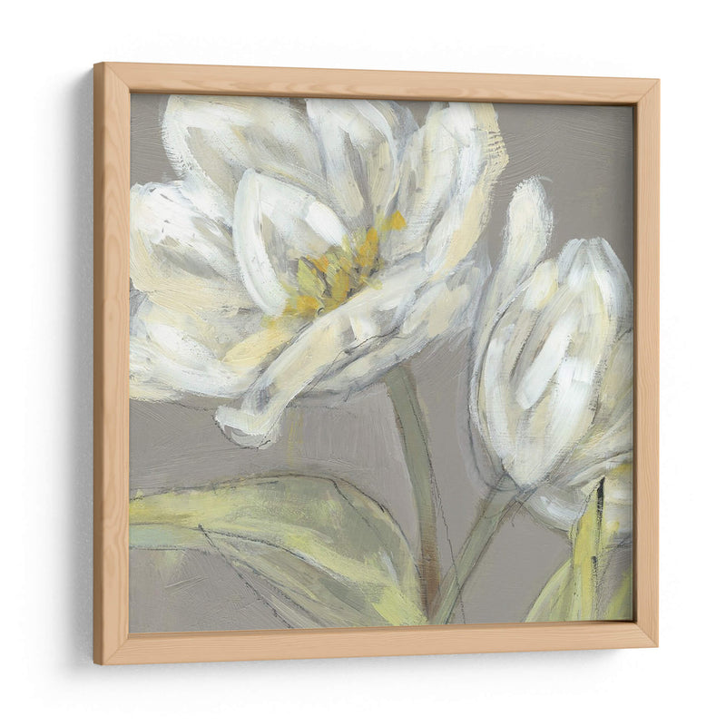 Tulipán En Gris - Jennifer Goldberger | Cuadro decorativo de Canvas Lab