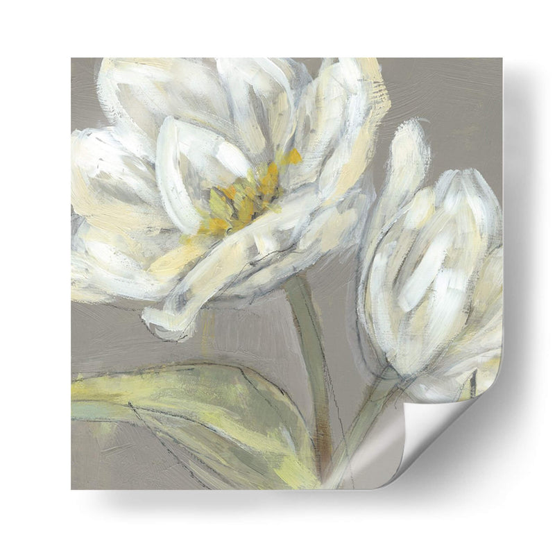 Tulipán En Gris - Jennifer Goldberger | Cuadro decorativo de Canvas Lab