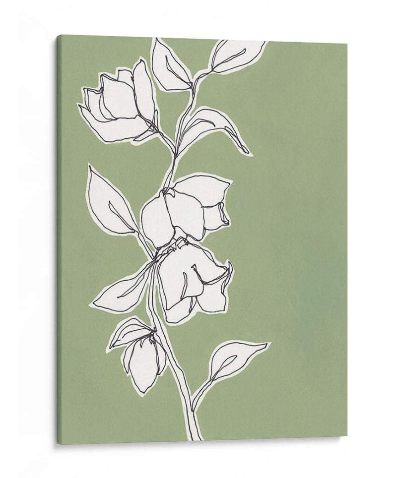 Dibujo Botanico Ii - Regina Moore | Cuadro decorativo de Canvas Lab