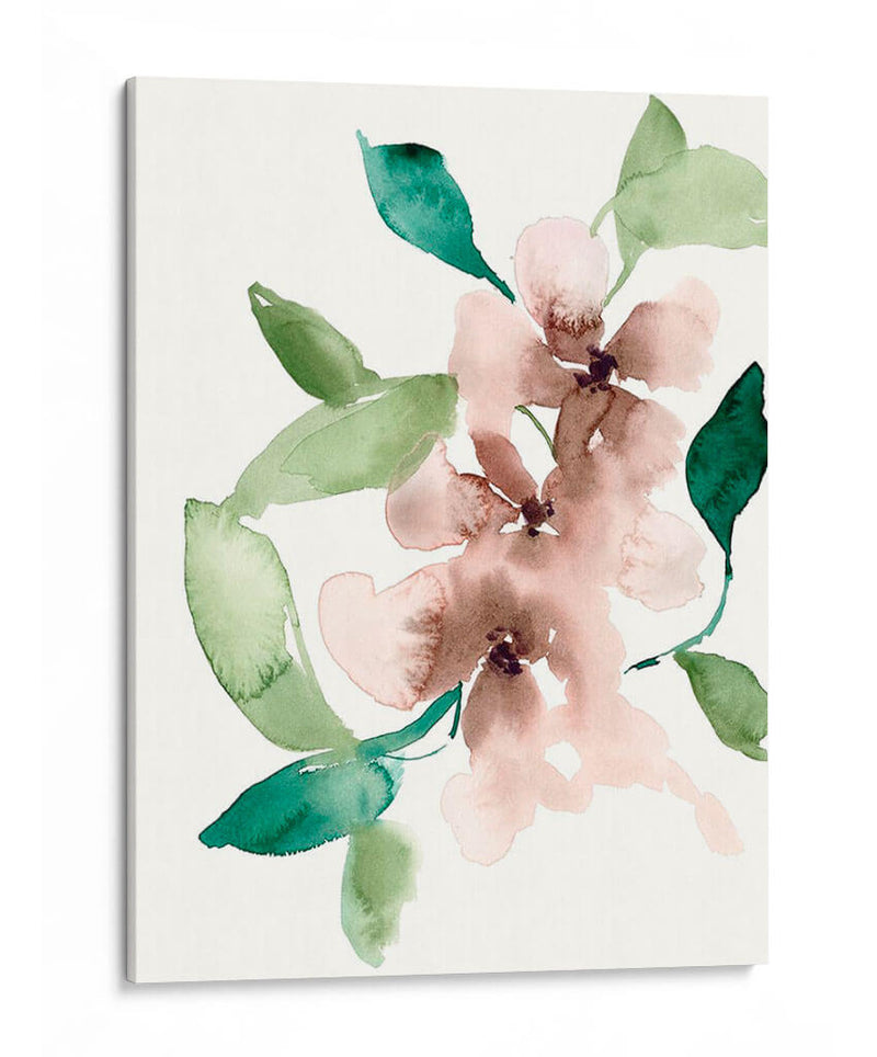 Flores De Malva I - Jennifer Goldberger | Cuadro decorativo de Canvas Lab