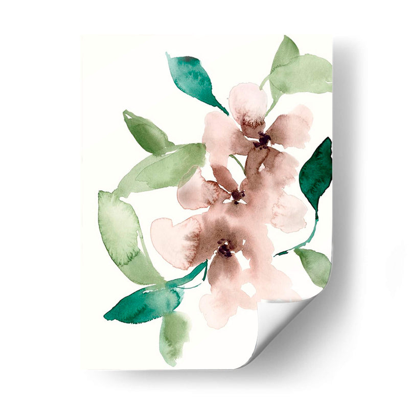 Flores De Malva I - Jennifer Goldberger | Cuadro decorativo de Canvas Lab
