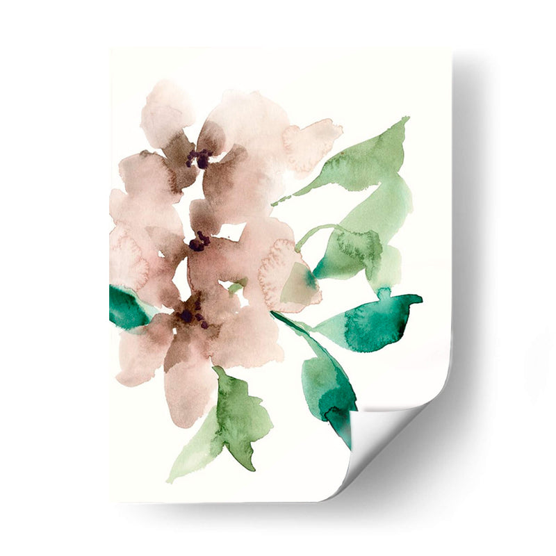 Flores Malvadas Ii - Jennifer Goldberger | Cuadro decorativo de Canvas Lab