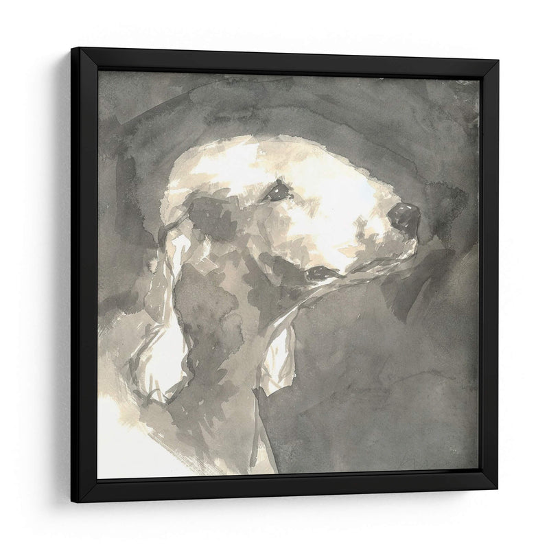 Perro Moderno Sepia I - Nick Dautlich | Cuadro decorativo de Canvas Lab