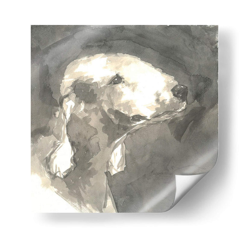 Perro Moderno Sepia I - Nick Dautlich | Cuadro decorativo de Canvas Lab