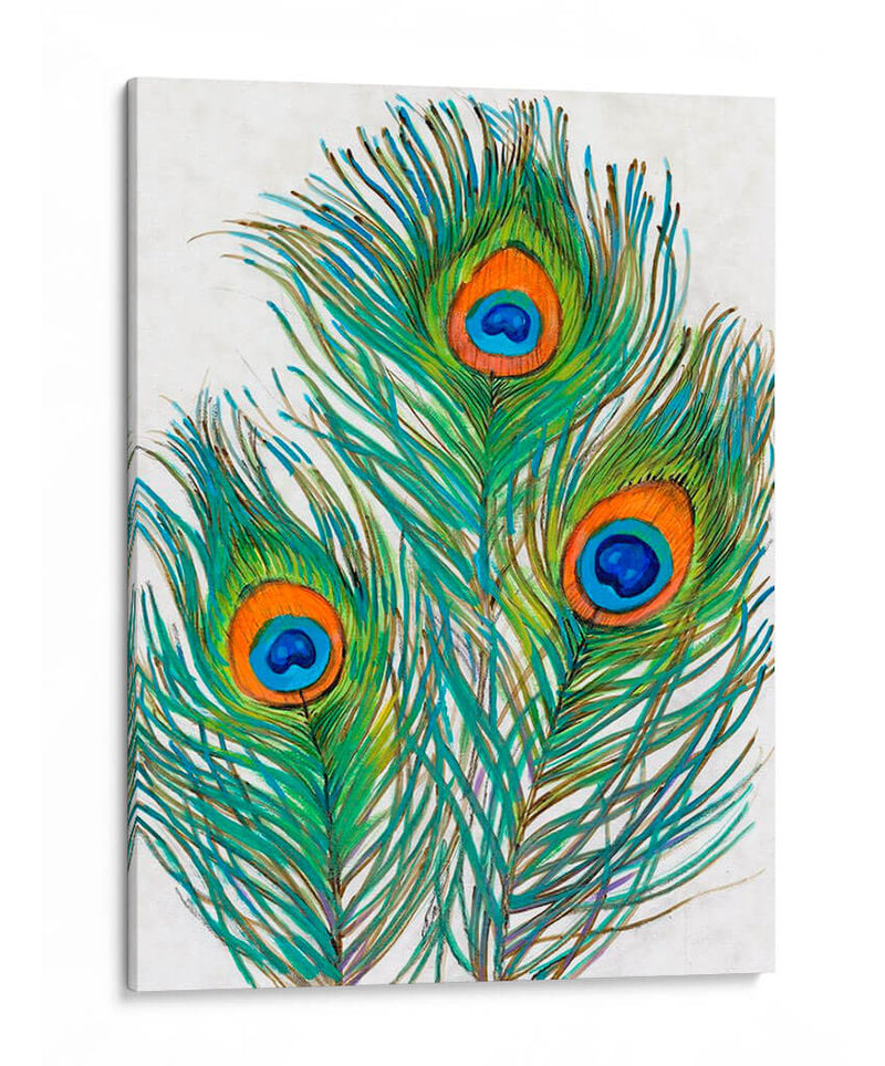 Vivid Peacock Plums Ii - Tim OToole | Cuadro decorativo de Canvas Lab