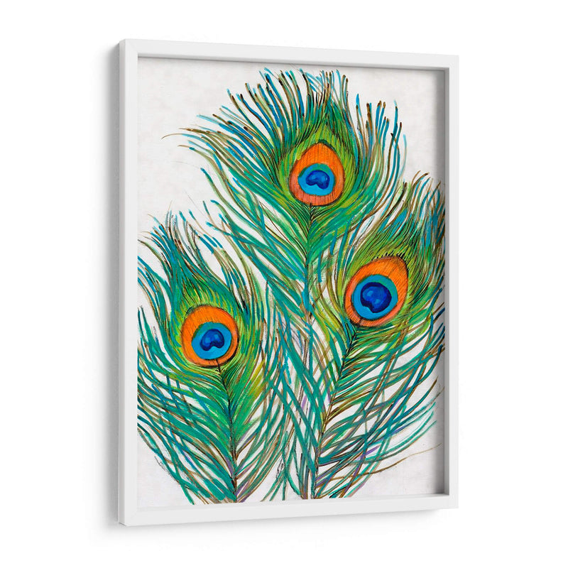 Vivid Peacock Plums Ii - Tim OToole | Cuadro decorativo de Canvas Lab