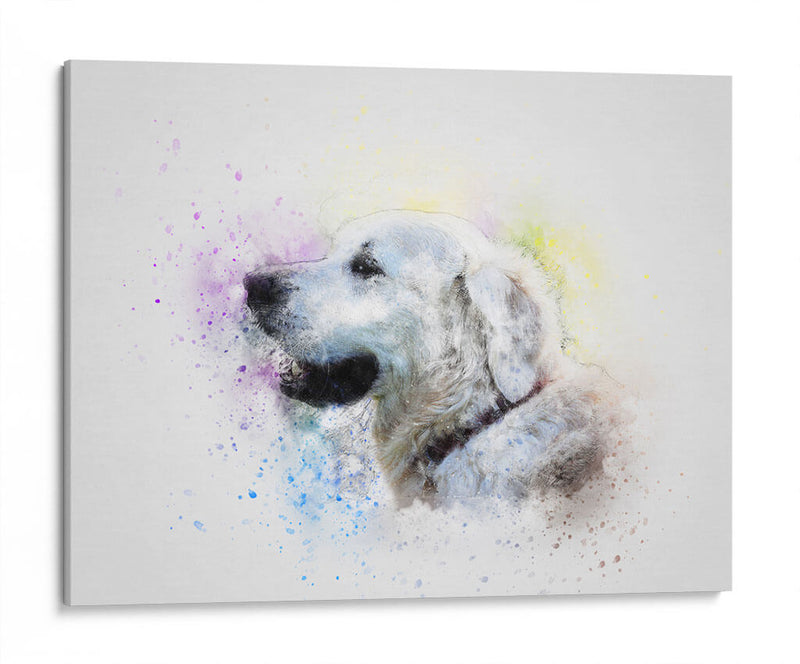 Labrador con acuarela | Cuadro decorativo de Canvas Lab