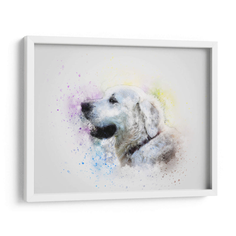 Labrador con acuarela | Cuadro decorativo de Canvas Lab