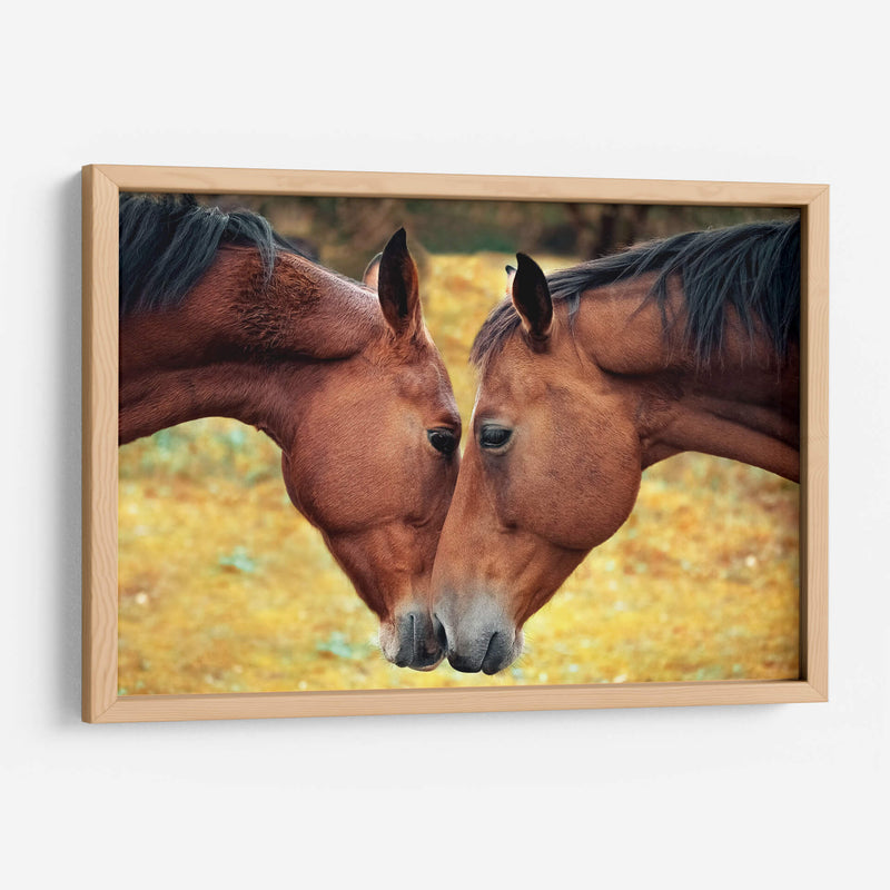 Acercamiento de caballos | Cuadro decorativo de Canvas Lab