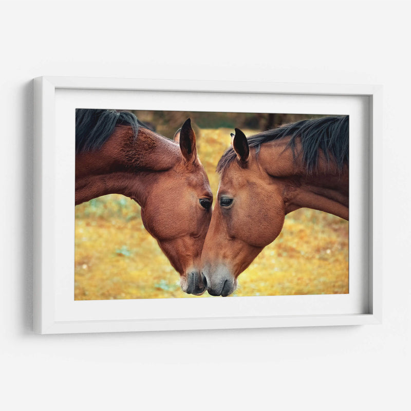 Acercamiento de caballos | Cuadro decorativo de Canvas Lab