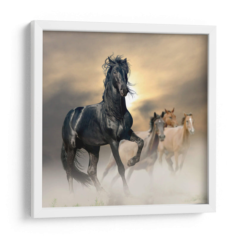 El brillo del caballo | Cuadro decorativo de Canvas Lab