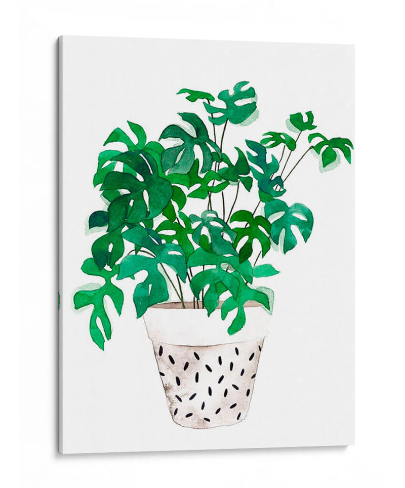 Planta En Un Pote Iv - Melissa Wang | Cuadro decorativo de Canvas Lab