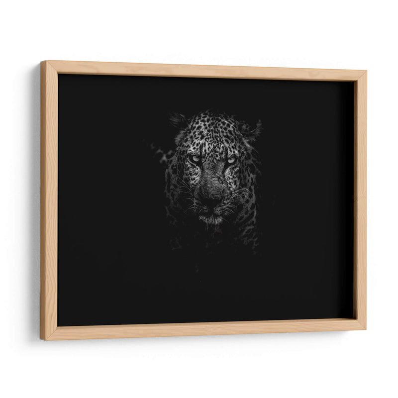 Leopardo en la penumbra | Cuadro decorativo de Canvas Lab