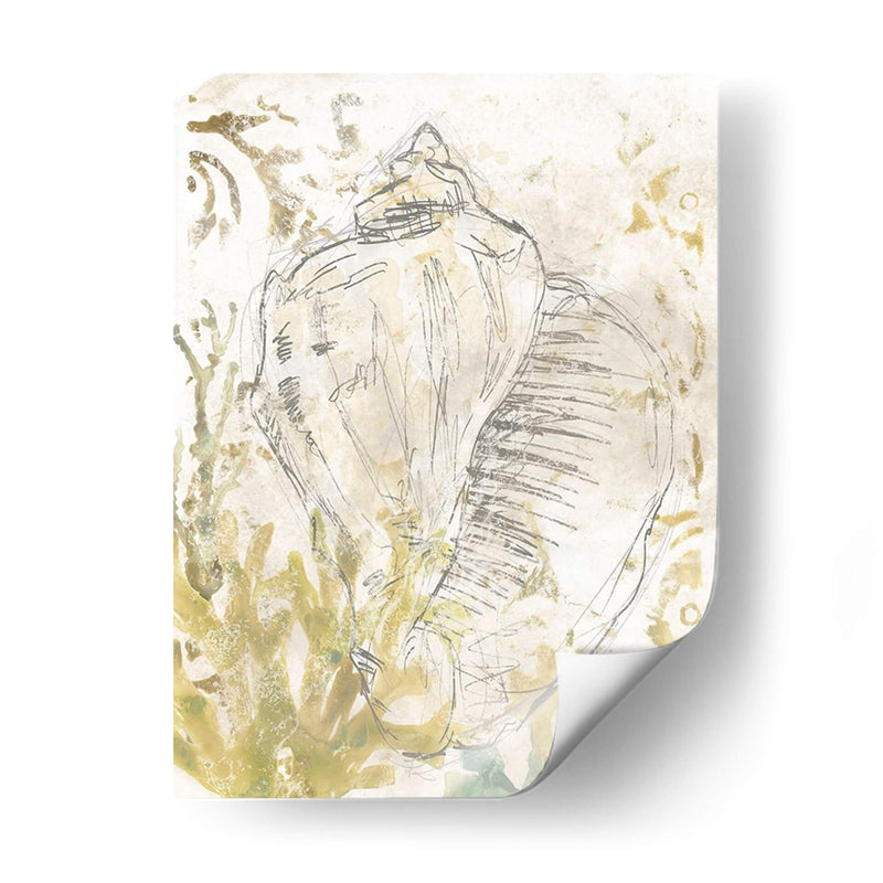 Verdant Shell Fresco I - June Erica Vess | Cuadro decorativo de Canvas Lab