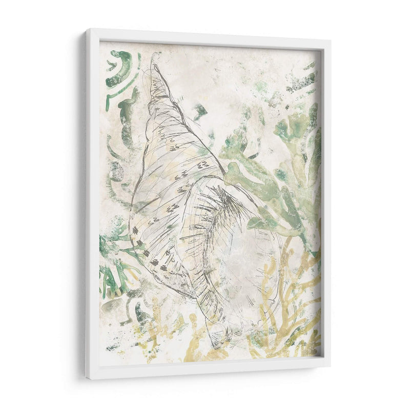 Verdant Shell Fresco Ii - June Erica Vess | Cuadro decorativo de Canvas Lab