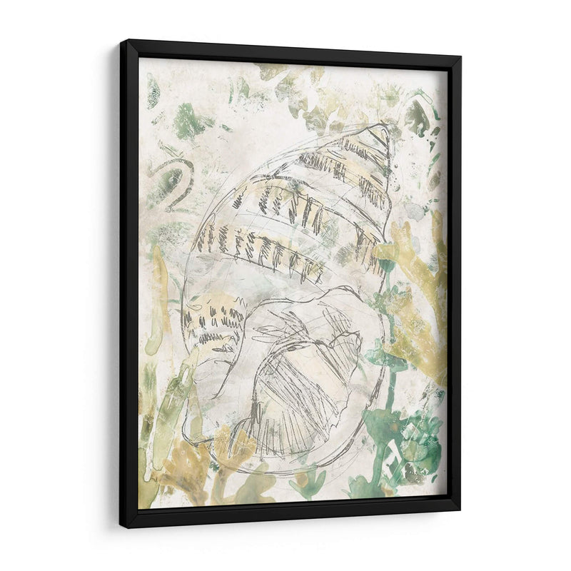 Shell Verde Fresco Iii - June Erica Vess | Cuadro decorativo de Canvas Lab
