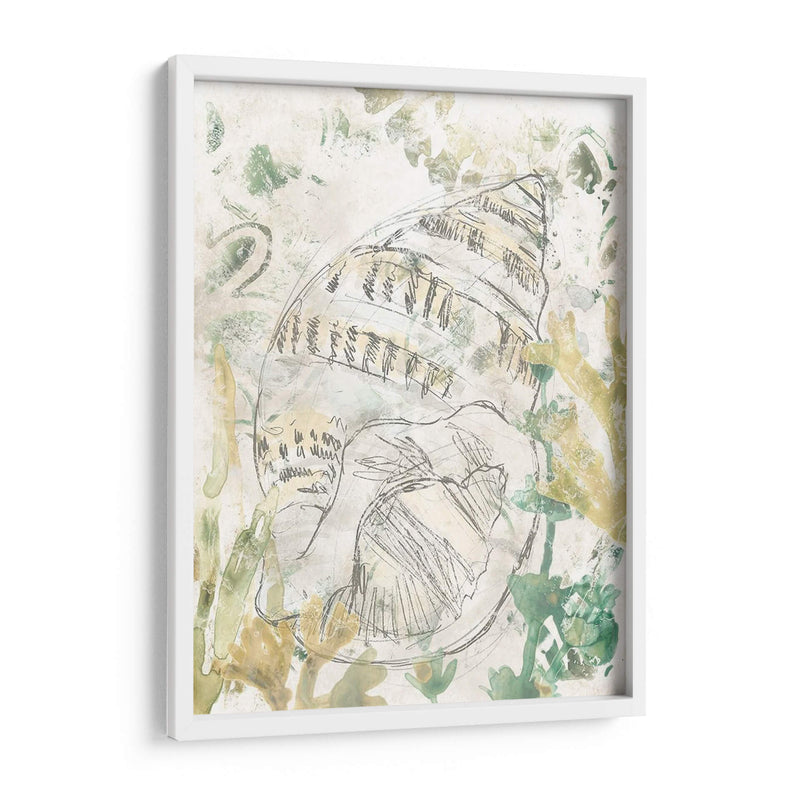 Shell Verde Fresco Iii - June Erica Vess | Cuadro decorativo de Canvas Lab