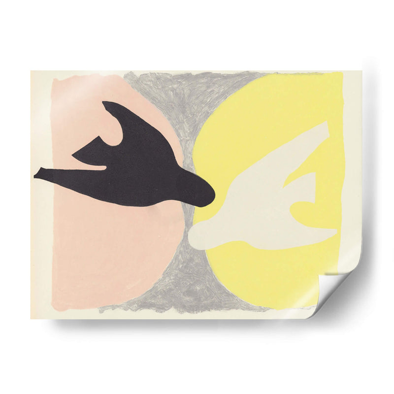 El pájaro negro y el pájaro blanco - Georges Braque | Cuadro decorativo de Canvas Lab