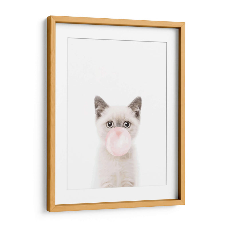 Cat Bubble Gum | Cuadro decorativo de Canvas Lab