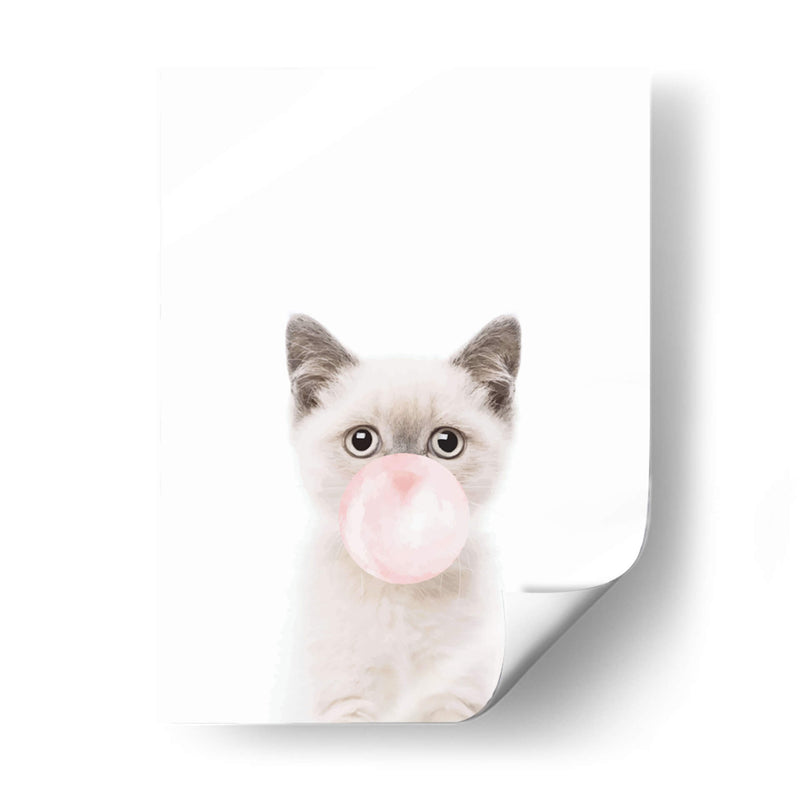 Cat Bubble Gum | Cuadro decorativo de Canvas Lab