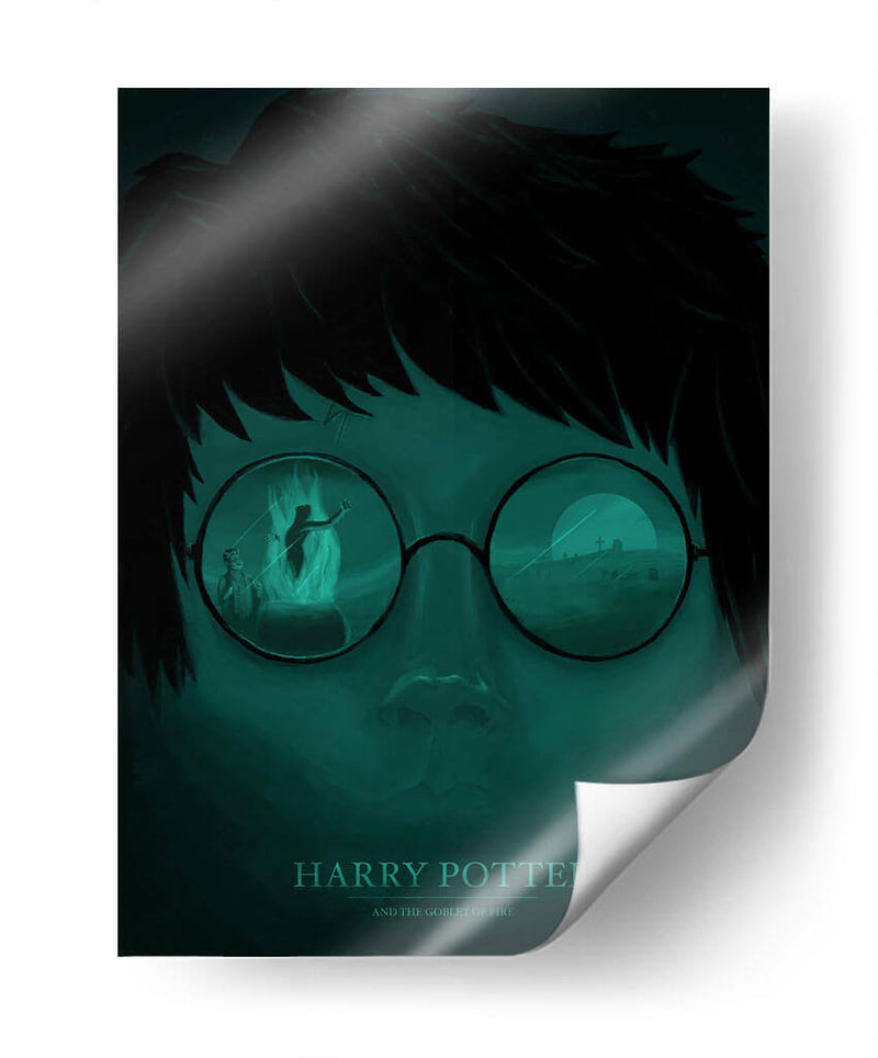 Harry Potter and the Gobbler of Fire | Cuadro decorativo de Canvas Lab