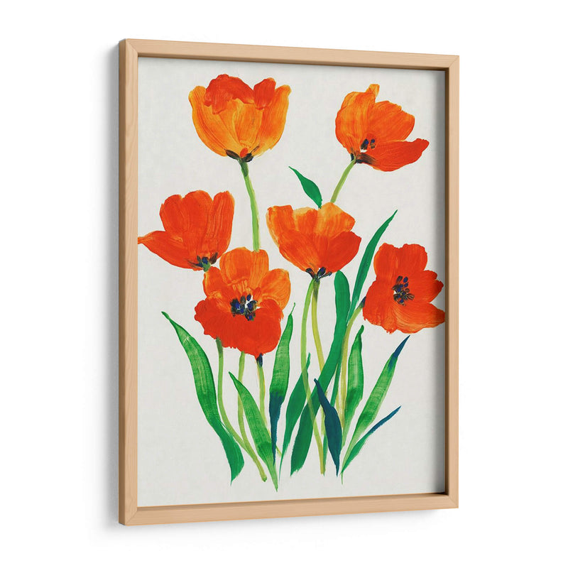 Tulipanes Rojos En Flor I - Tim OToole | Cuadro decorativo de Canvas Lab