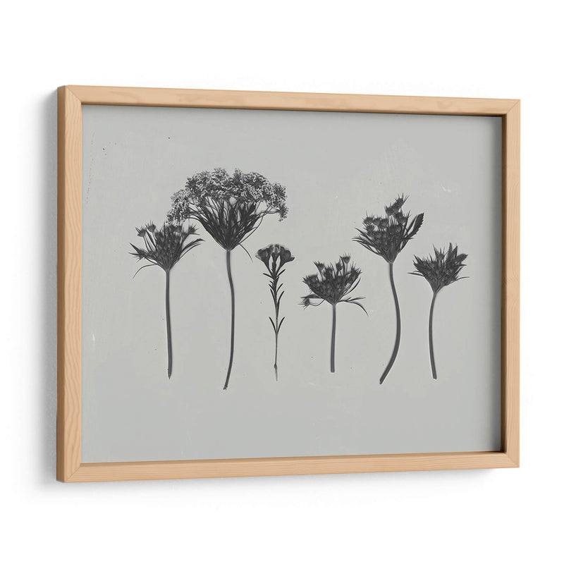 Memoria De Flores Silvestre I - Jennifer Goldberger | Cuadro decorativo de Canvas Lab