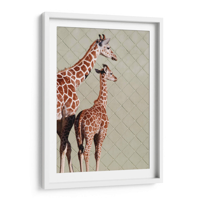 Las jirafas | Cuadro decorativo de Canvas Lab