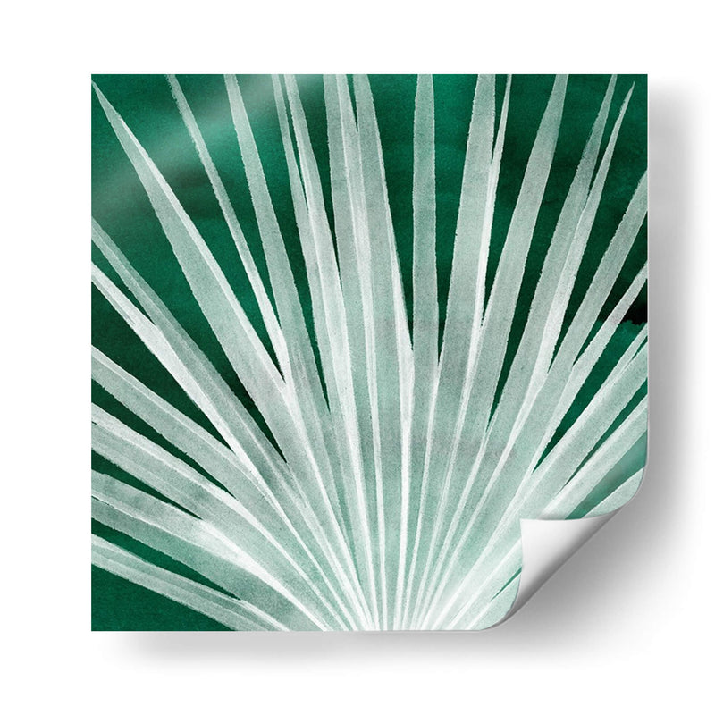 Velvet Palm I - Grace Popp | Cuadro decorativo de Canvas Lab