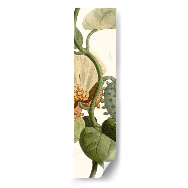 Turpin Exótico Botánico V - Turpin | Cuadro decorativo de Canvas Lab