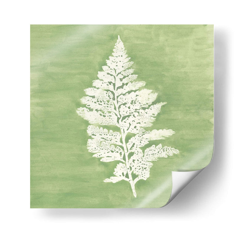 Forest Ferns Iv - Vanna Lam | Cuadro decorativo de Canvas Lab