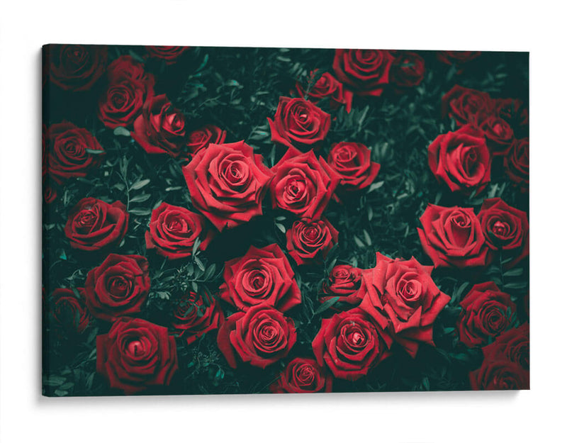 Las rosas rojas | Cuadro decorativo de Canvas Lab