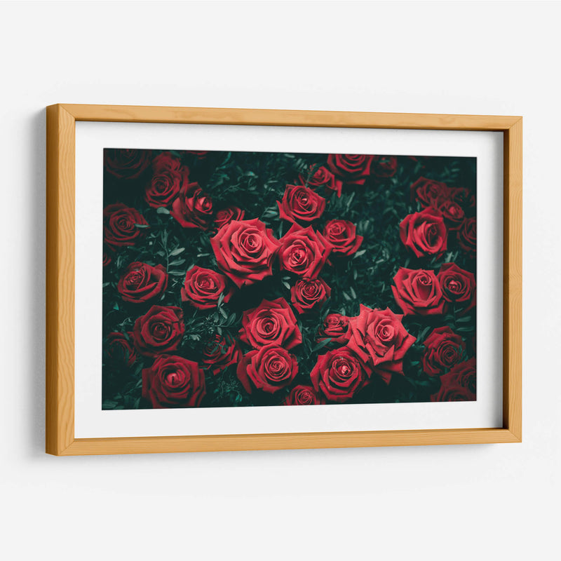 Las rosas rojas | Cuadro decorativo de Canvas Lab
